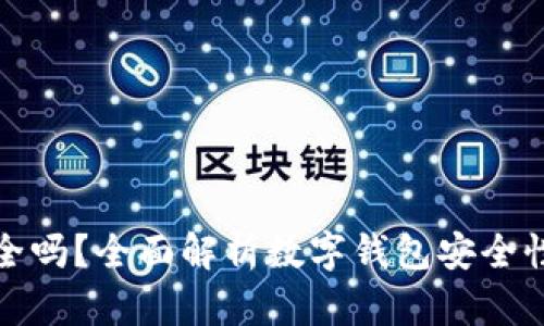 tpwallet安全吗？全面解析数字钱包安全性与风险管理