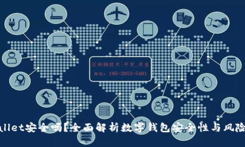 tpwallet安全吗？全面解析数字钱包安全性与风险管理