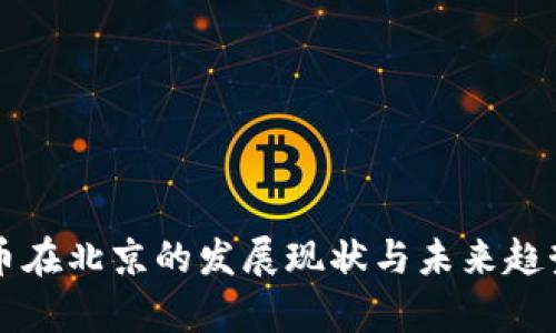 虚拟币在北京的发展现状与未来趋势分析