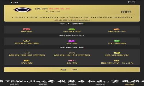 如何使用TPWallet寻找新币机会：实用指南与技巧