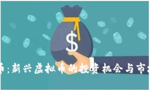 维利币：新兴虚拟币的投资机会与市场分析
