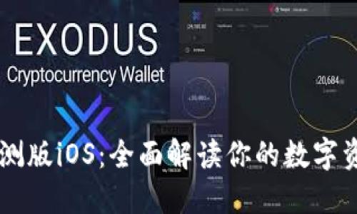 TPWallet内测版iOS：全面解读你的数字资产管理利器