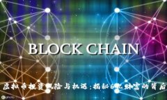 虚拟币投资风险与机遇：