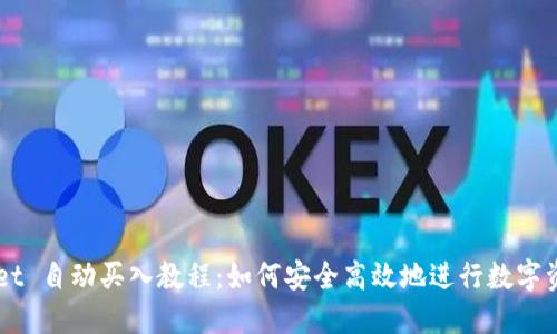 TPWallet 自动买入教程：如何安全高效地进行数字资产交易
