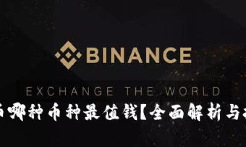 虚拟货币哪种币种最值钱？全面解析与投资建议