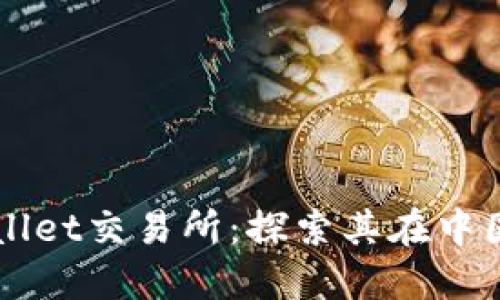 ### TPWallet交易所：探索其在中国的运营现状