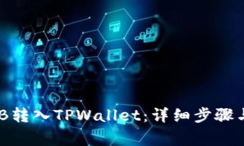 如何将BNB转入TPWallet：详细步骤与注意事项