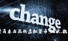 深入探讨马来西亚的虚拟