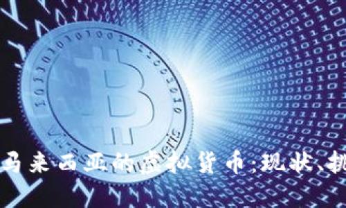 深入探讨马来西亚的虚拟货币：现状、挑战与未来