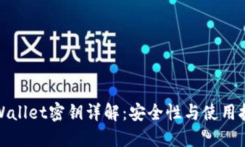 TPWallet密钥详解：安全性与使用技巧