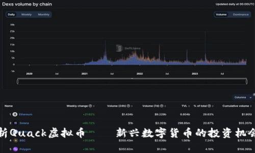 深入解析Quack虚拟币——新兴数字货币的投资机会与风险