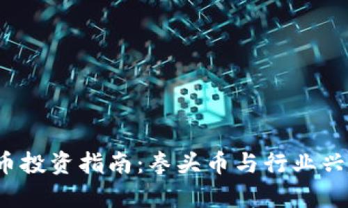 2023年虚拟币投资指南：拳头币与行业兴起的全景分析