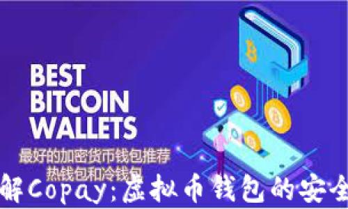 
深入了解Copay：虚拟币钱包的安全与便利