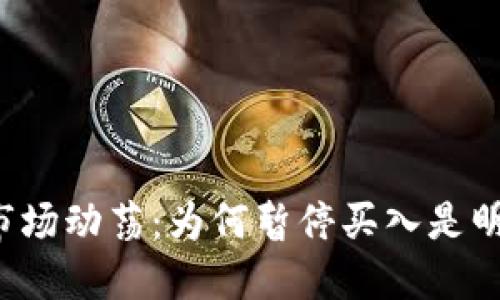虚拟币市场动荡：为何暂停买入是明智之选？