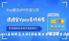 TPWallet未到账怎么办？快速