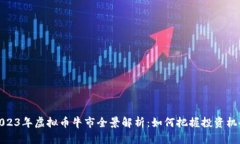 2023年虚拟币牛市全景解析