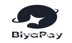 如何在TokenPocket中安全输入