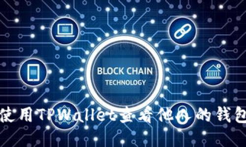如何使用TPWallet查看他人的钱包记录