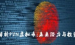 全面解析PVN虚拟币：未来