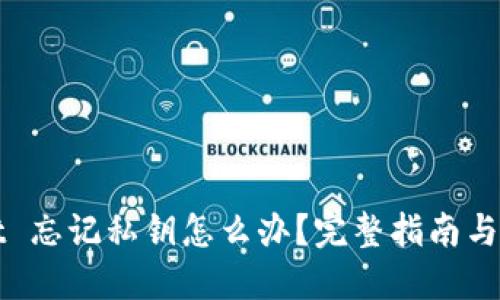 TPWallet 忘记私钥怎么办？完整指南与解决方案
