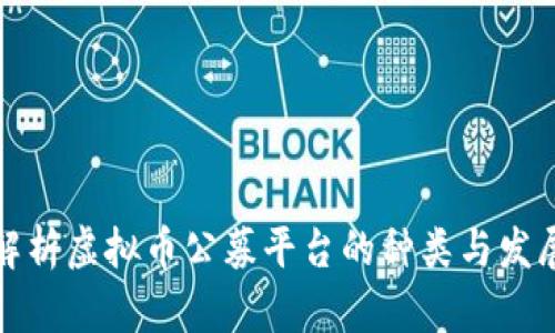 全面解析虚拟币公募平台的种类与发展趋势