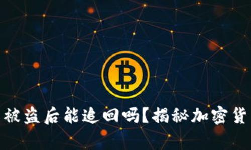tpwallet上的币被盗后能追回吗？揭秘加密货币的安全与风险