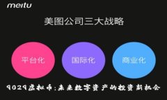 9029虚拟币：未来数字资产