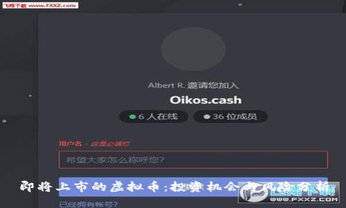 即将上市的虚拟币：投资机会与风险分析