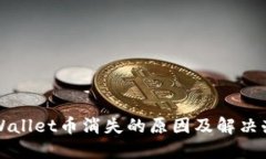 TPWallet币消失的原因及解决