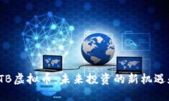 揭秘VTB虚拟币：未来投资