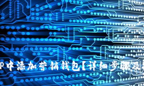 如何在TP中添加营销钱包？详细步骤及技巧分享