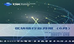 虚拟币BUCK详细解析：未来