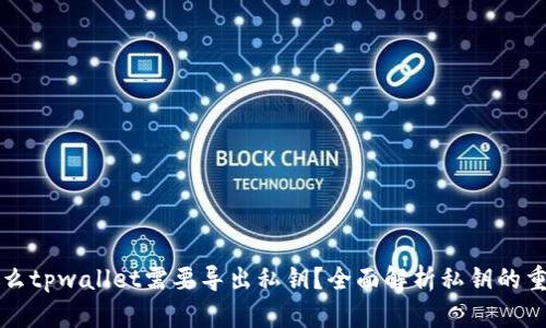 为什么tpwallet需要导出私钥？全面解析私钥的重要性