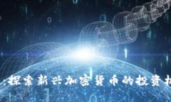 Ranker虚拟币：探索新兴加