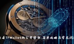 如何查看TPWallet的公开密钥