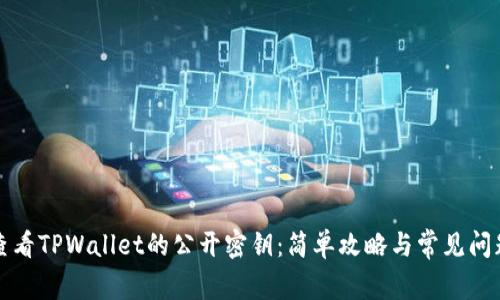 如何查看TPWallet的公开密钥：简单攻略与常见问题解答