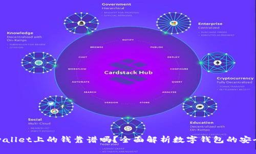 tpwallet上的钱靠谱吗？全面解析数字钱包的安全性