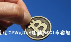 如何通过TPWallet连接BSC（币