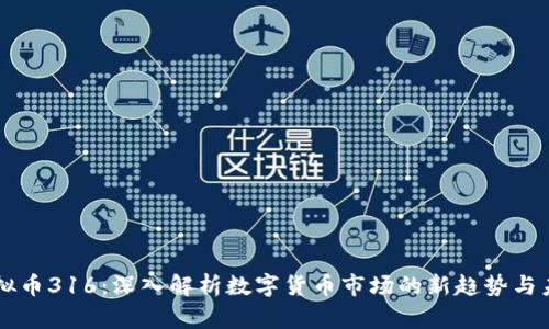 虚拟币316：深入解析数字货币市场的新趋势与未来