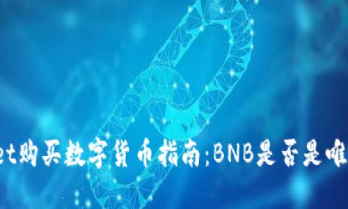 TPWallet购买数字货币指南：BNB是否是唯一选择？