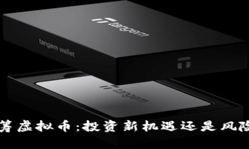 ICO众筹虚拟币：投资新机遇还是风险陷阱？