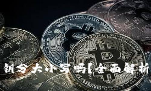 tpwallet私钥分大小写吗？全面解析与安全建议