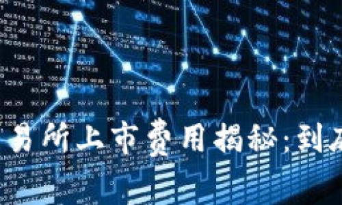 虚拟币交易所上市费用揭秘：到底有多贵？