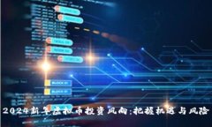 2024新年虚拟币投资风向：