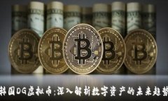   韩国DG虚拟币：深入解析