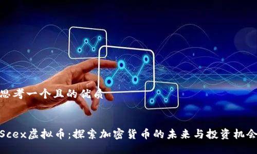 思考一个且的优质


Scex虚拟币：探索加密货币的未来与投资机会