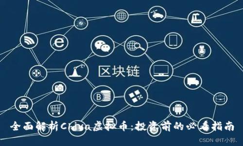 全面解析Chiva虚拟币：投资前的必看指南