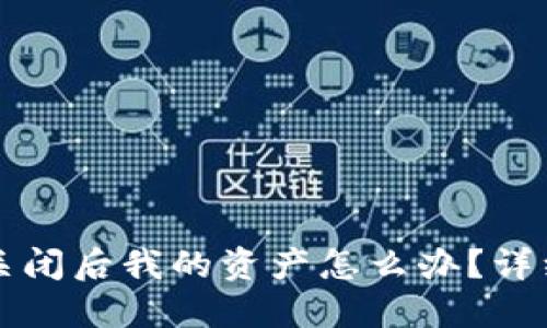 虚拟币交易平台关闭后我的资产怎么办？详细指南与应对策略