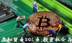 深入了解虚拟货币SOL币：