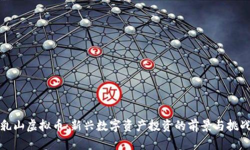 乳山虚拟币：新兴数字资产投资的前景与挑战